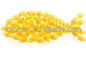 Van de de Vissenhuid van CAS 9000-70-8 van de Schaal Eetbaar Vissen de Gelatinepoeder