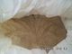 CAS 8002-80-0 HACCP 82 Percenten Vital Wheat Gluten Powder Bulk