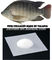 Dieet Duurzame Vissen Gebaseerde Peptides van het Collageenpoeder