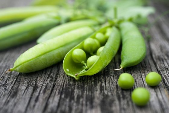 Het kosjer Gehydroliseerde Organische Poeder Pea Protein Isolate Concentrate van de Installatieproteïne